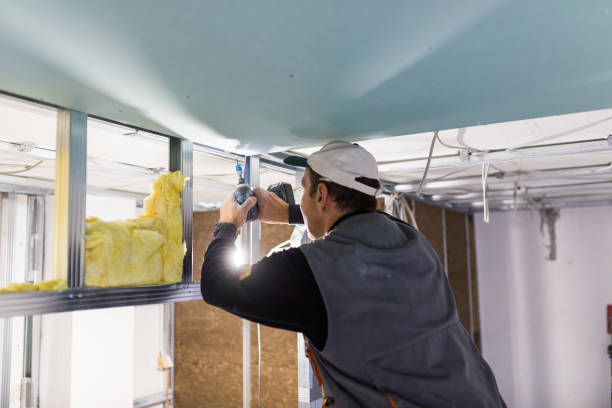 Best Residential Insulation in Potomac Park, CA