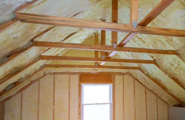 Best Spray Foam Insulation in Potomac Park, CA