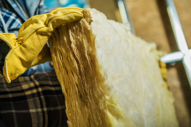Types of Insulation We Offer in Potomac Park, CA