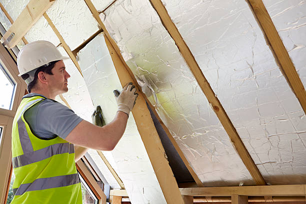 Best Energy Efficiency Insulation in Potomac Park, CA