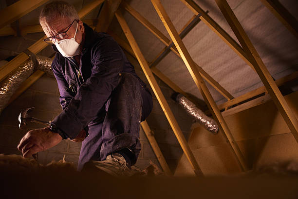 Best Cellulose Insulation in Potomac Park, CA